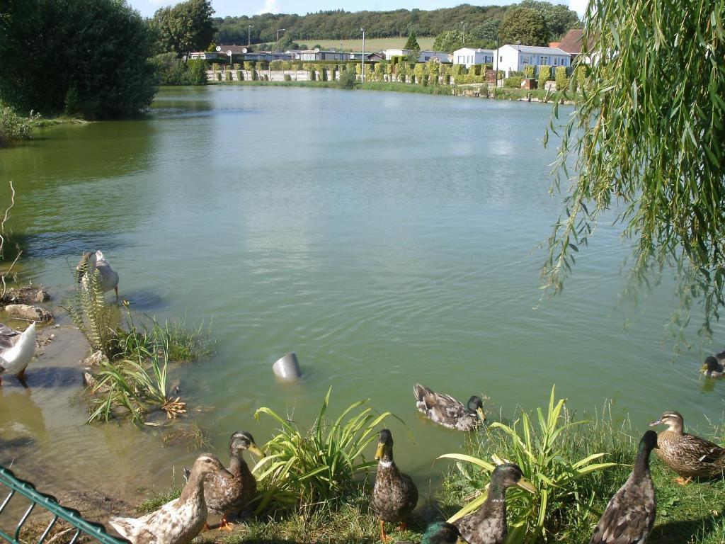 Auberge Des Etangs Roussent Esterno foto